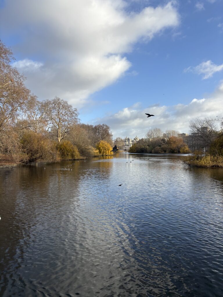 Saint James Park