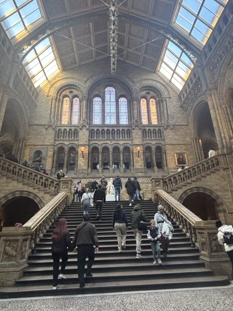 Natural History Museum